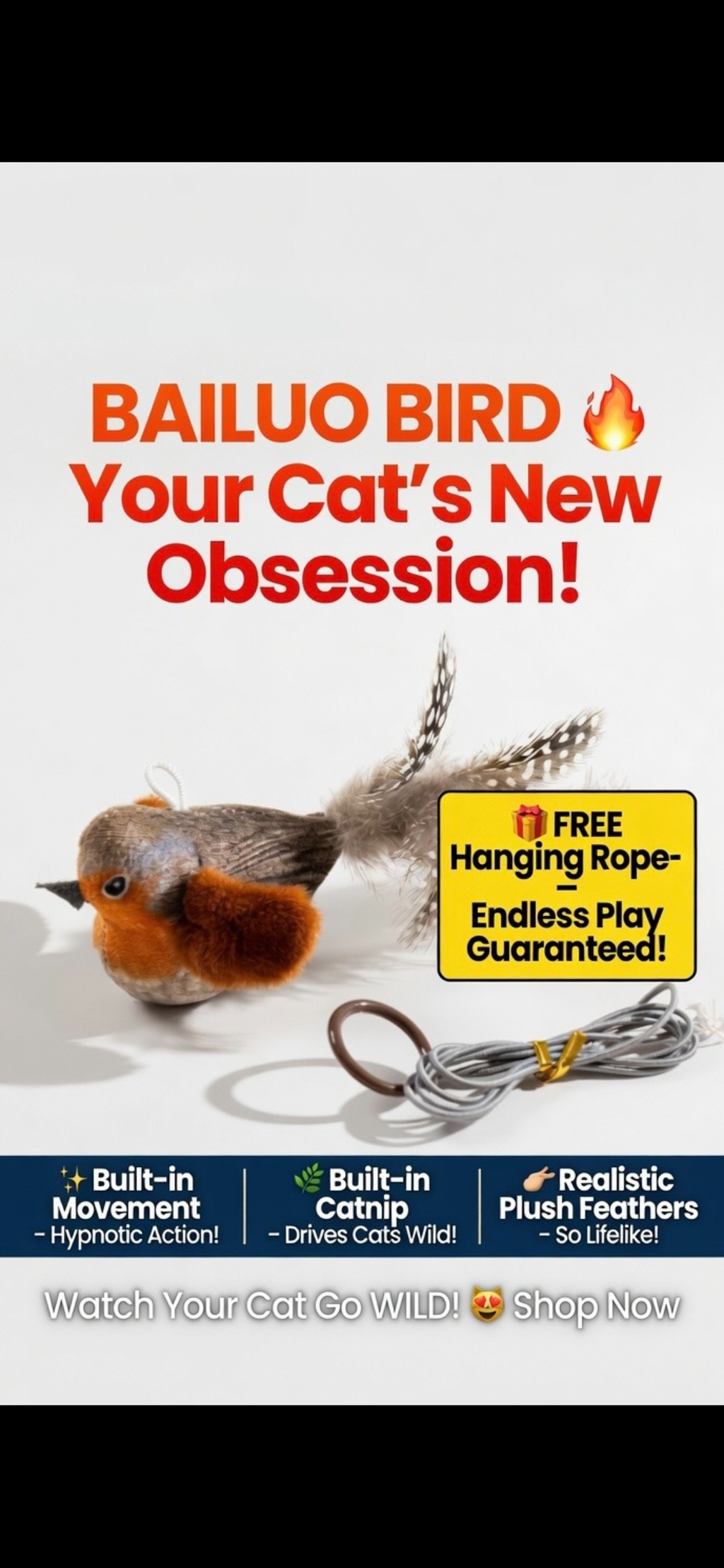 Color cat toys