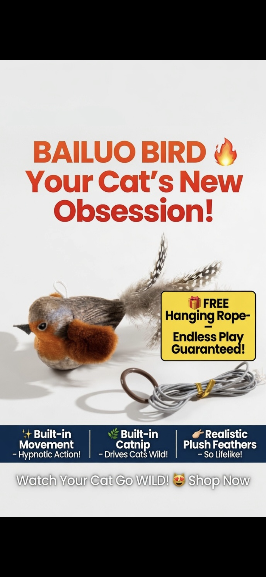 Color cat toys