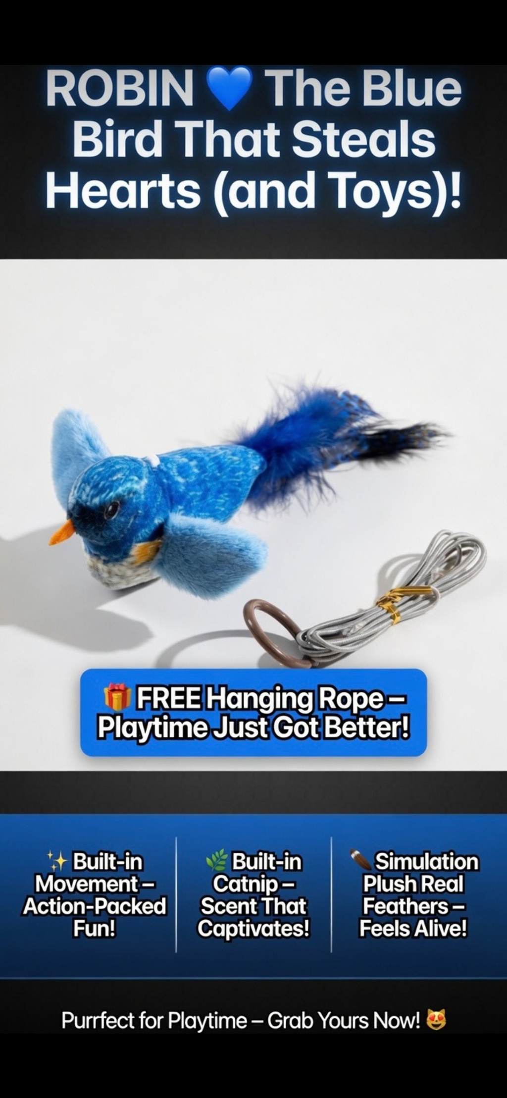 Color cat toys
