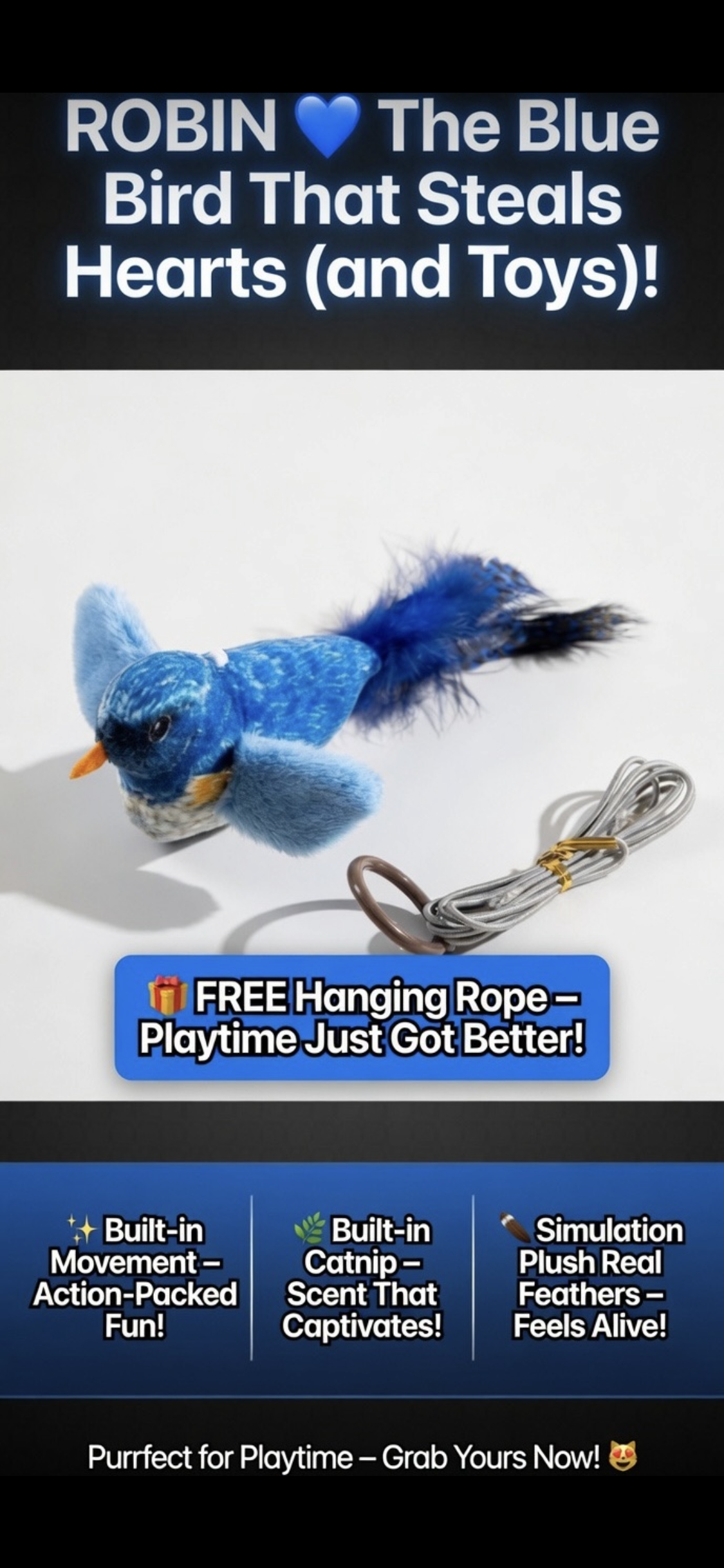 Color cat toys