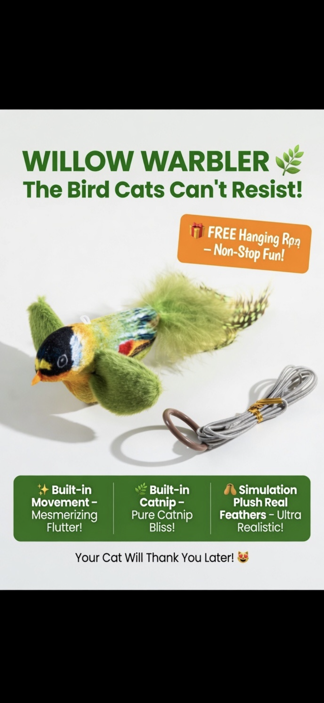 Color cat toys