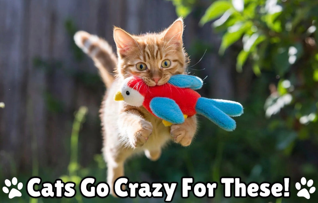 Color cat toys