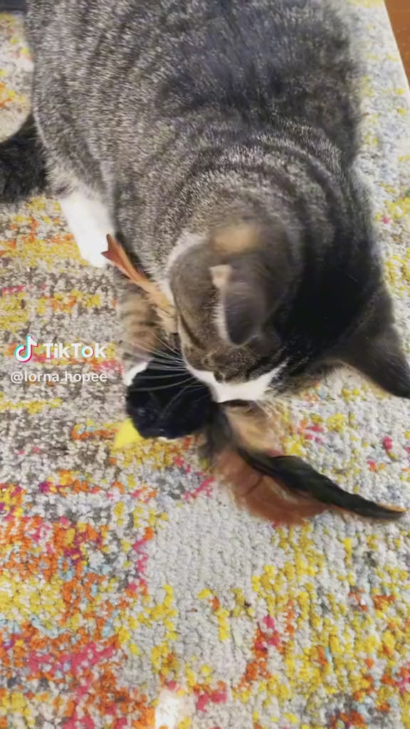 FlutterBird Cat Toy
